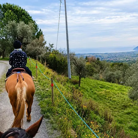 Fattoria Cristina Romantic Garden With Pool & Farm Animals In Tuscany - Fenice 펜션