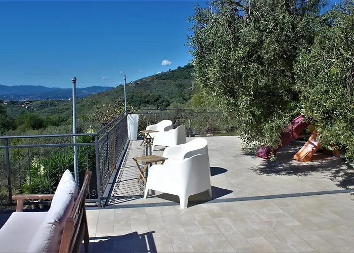 Fattoria Cristina - Fenice