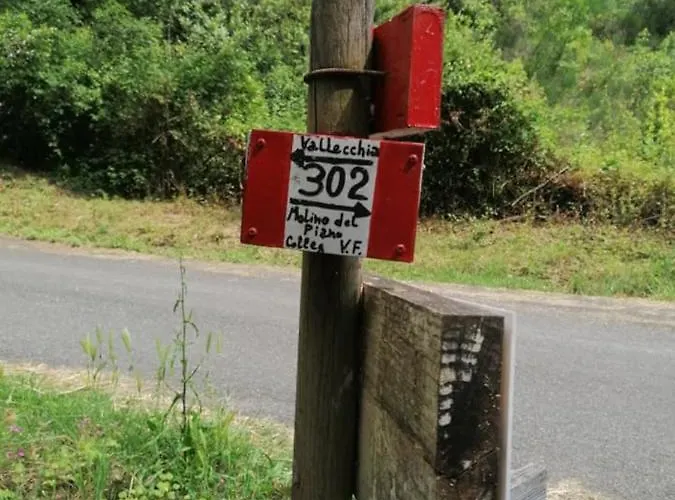 Fattoria Cristina - Fenice 펜션 *