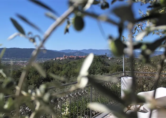 Fattoria Cristina - Fenice 카스텔누보디마르가